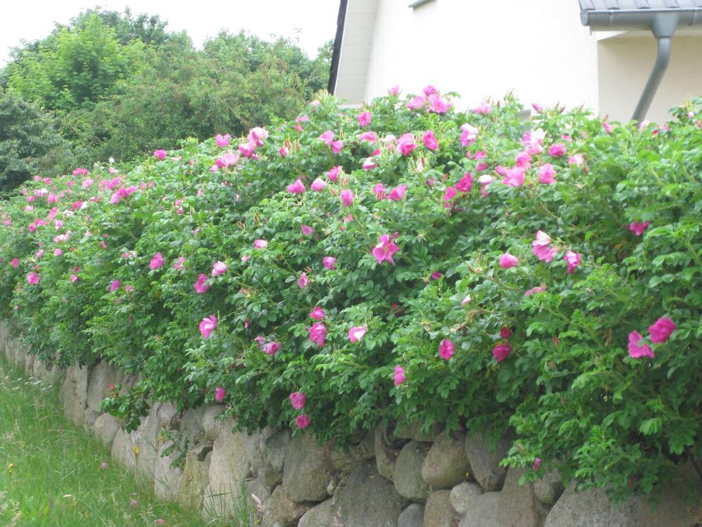 Urlaubsglueck Familien- & Hunde-Paradies Rankwitz Quarto foto